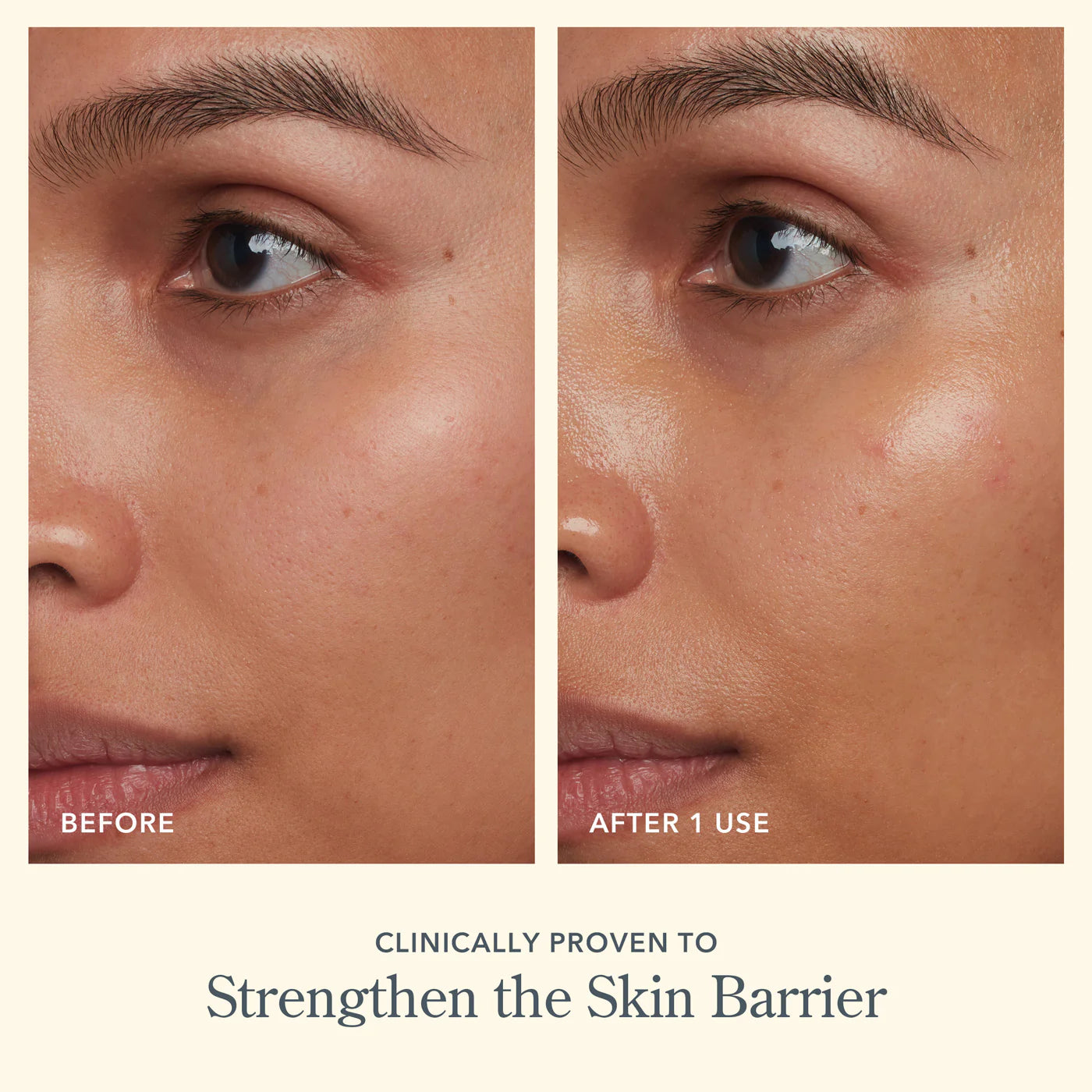 BEEKMAN Bloom Cream
Daily Face Moisturizer