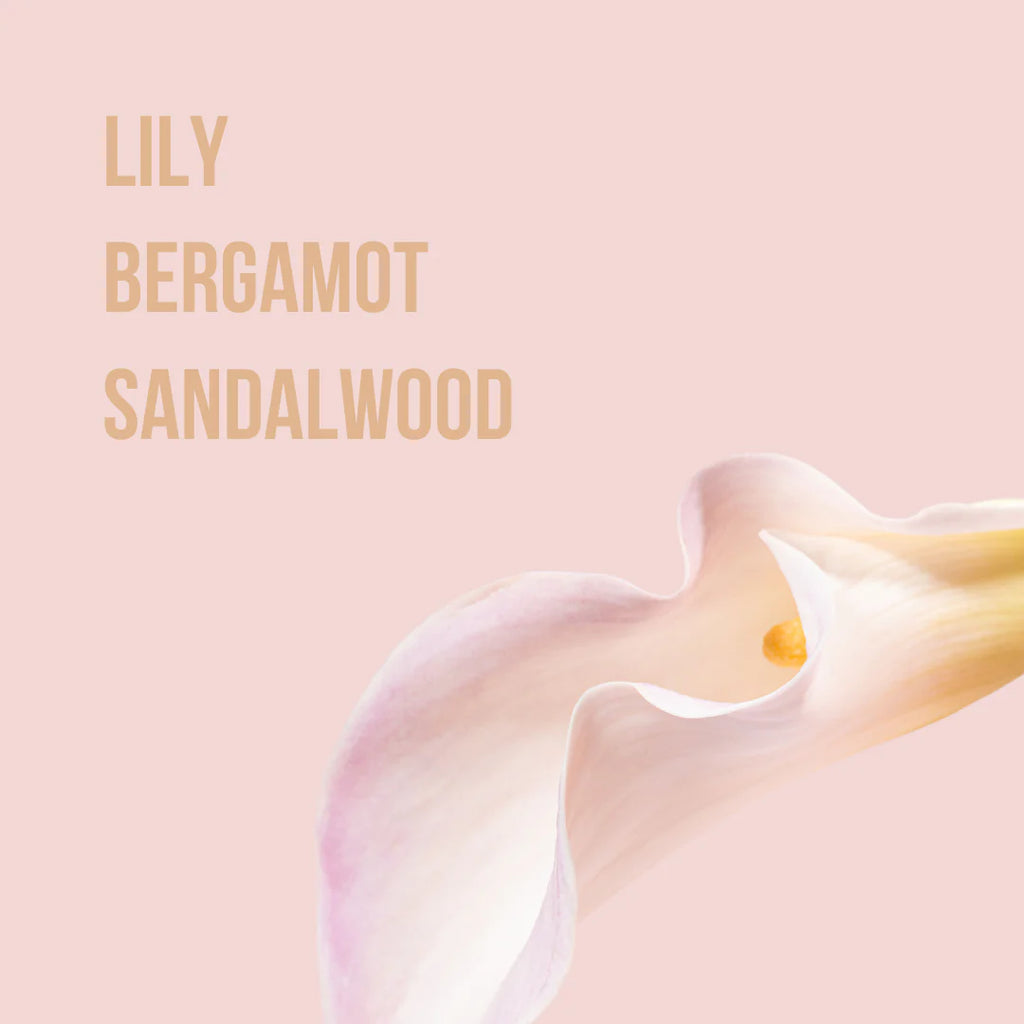 Beauty Creations Body Lotion and Fragance Set All Mine