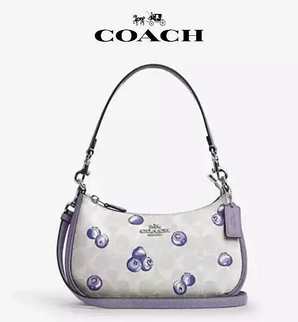 COACH Teri 2 Bluberry Bag