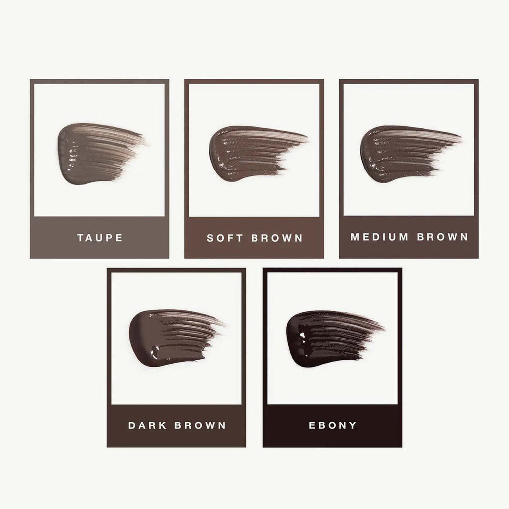 Anastasia Beverly Hills Feathered Brow Kit
