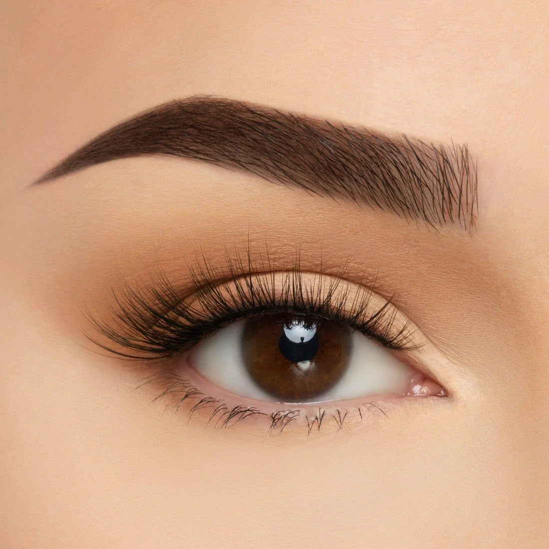 Beauty Creations Take Me Somewhere Lashes