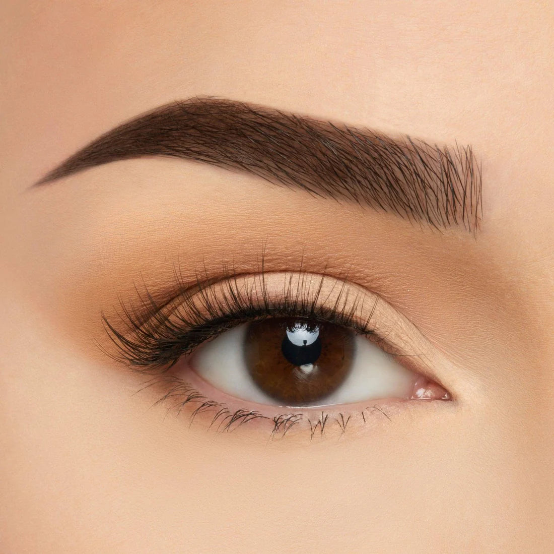Beauty Creations Take Me Somewhere Lashes