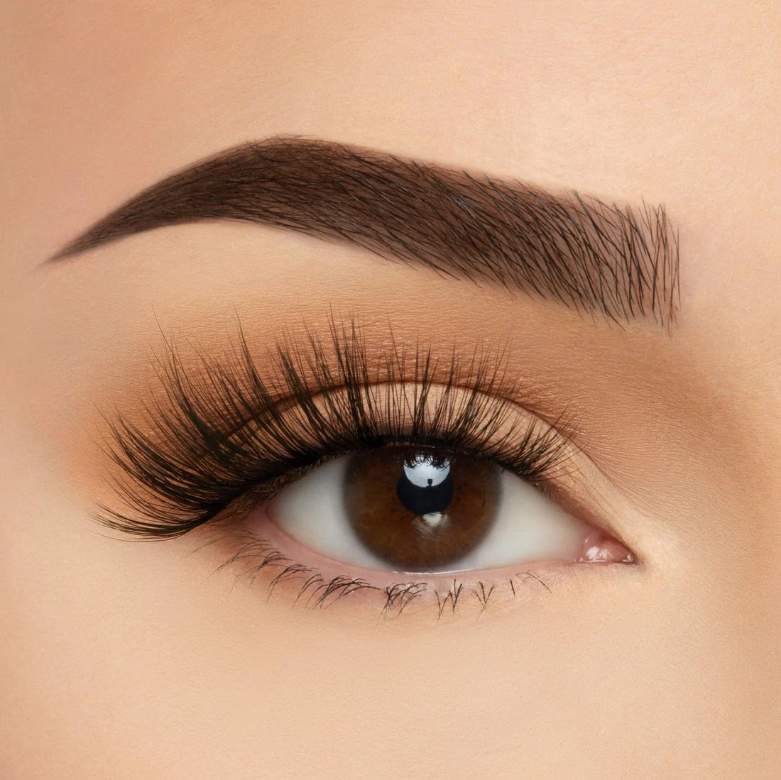 Beauty Creations Take Me Somewhere Lashes