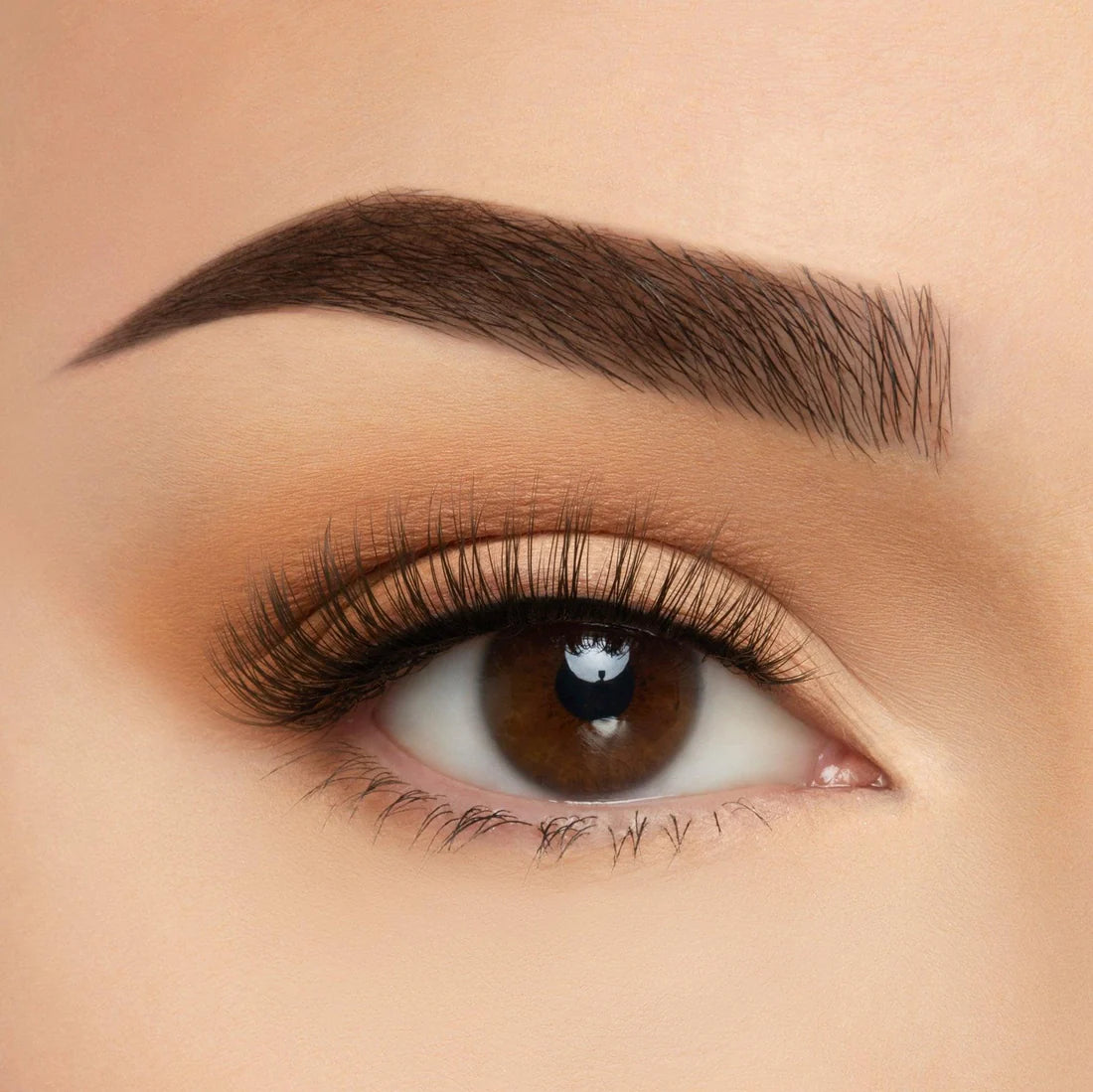 Beauty Creations Take Me Somewhere Lashes