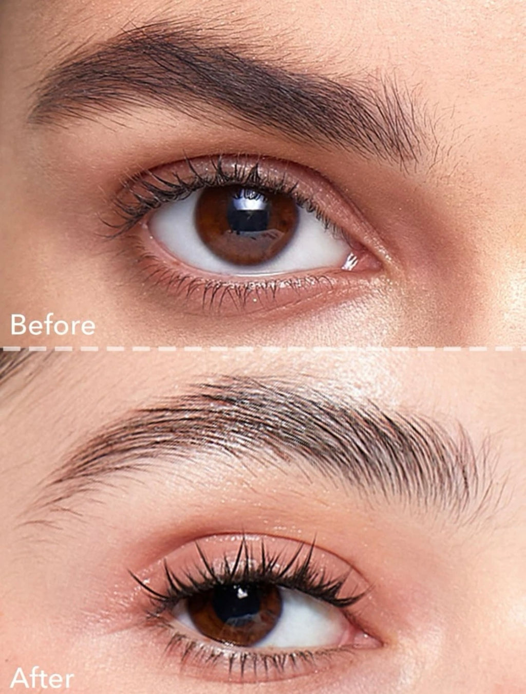 SHEGLAM Fijador de Cejas Set Me Up Duo